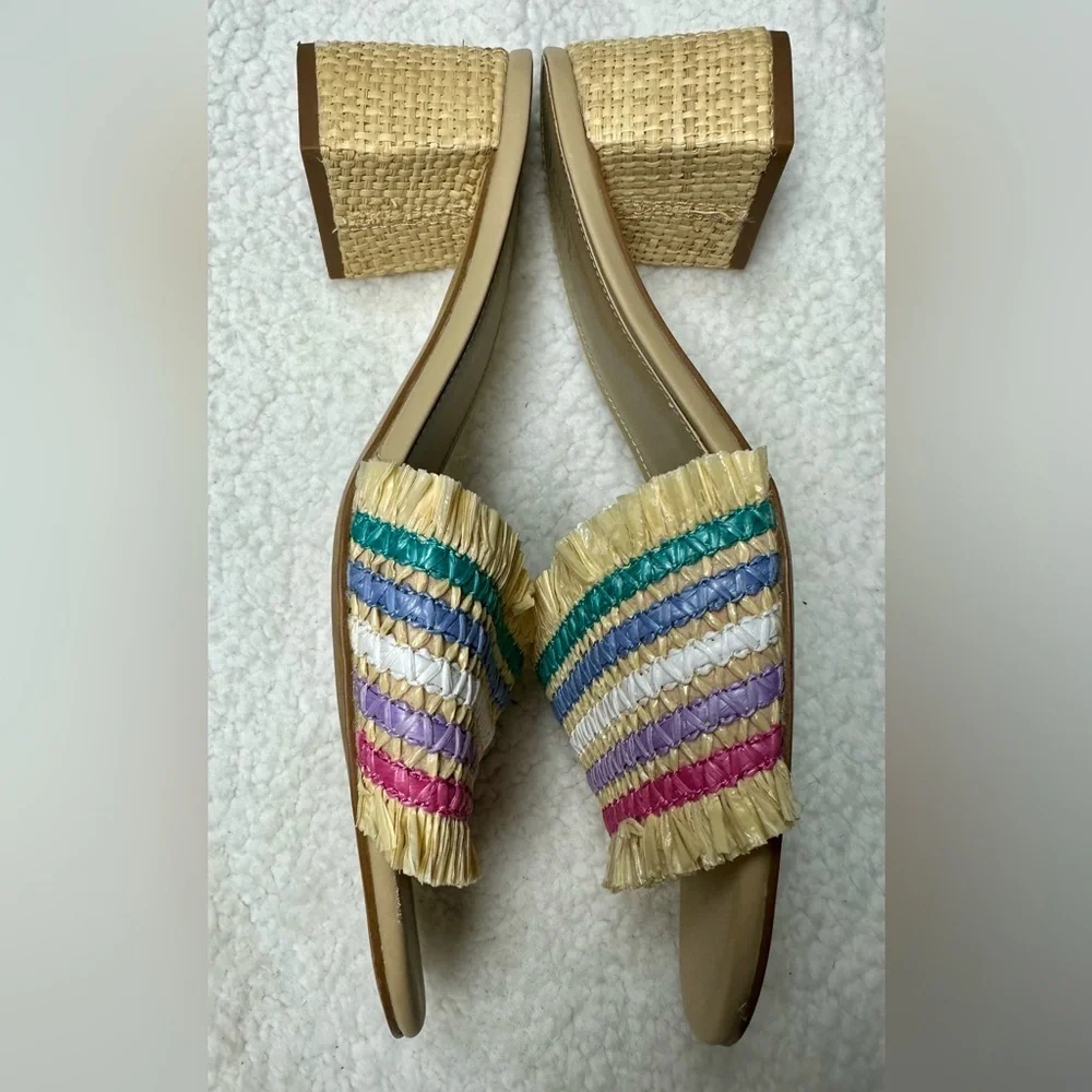 J.Crew Rainbow Raffia Woven Mule Block Heels Size 10